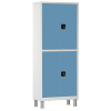 Шкаф медицинский двухстворчатый с ригельным замком МСК-648.01-11 (цветные дверки)